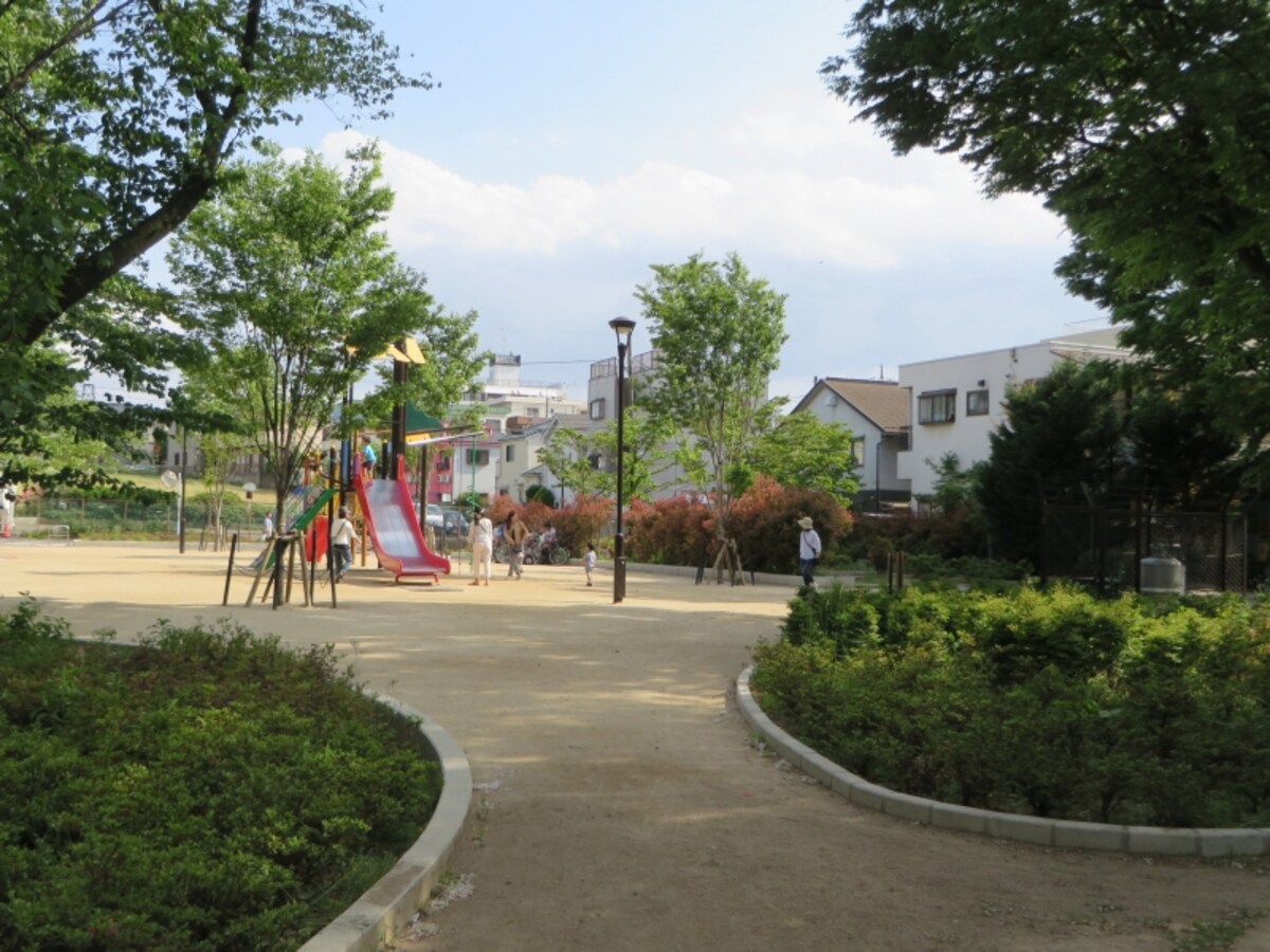 公園の子どもたち