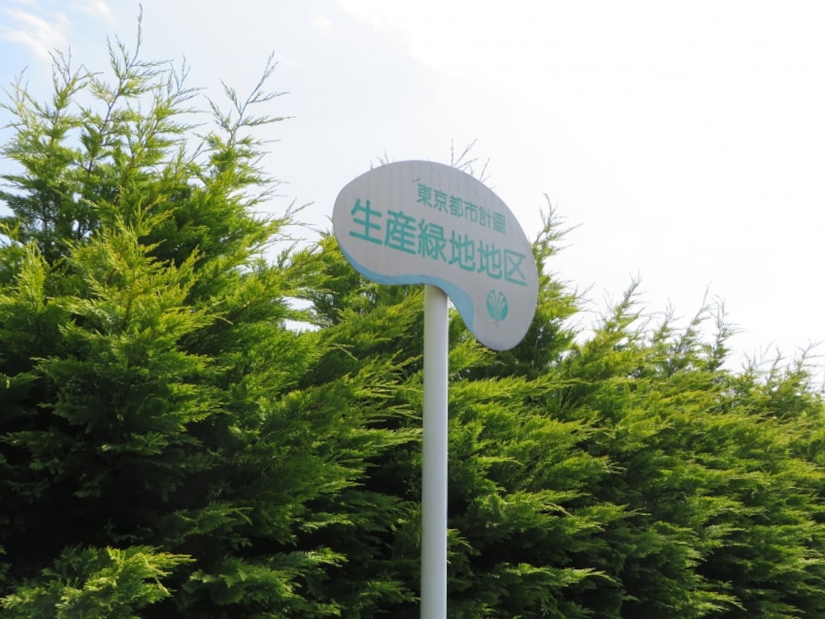 生産緑地