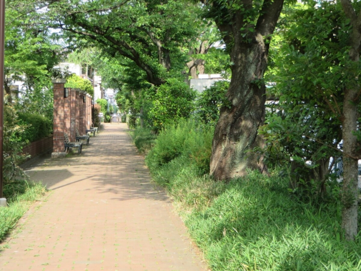 遊歩道
