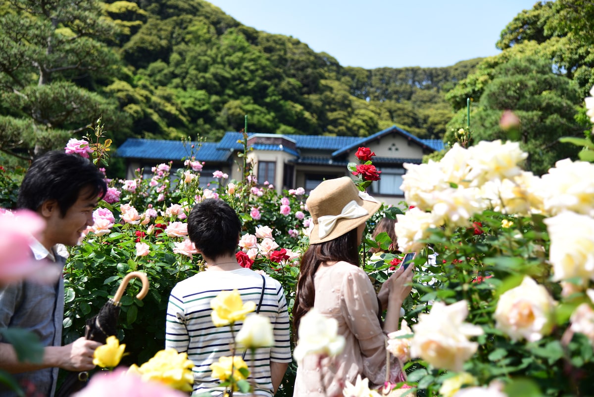 鎌倉文学館のローズガーデン
