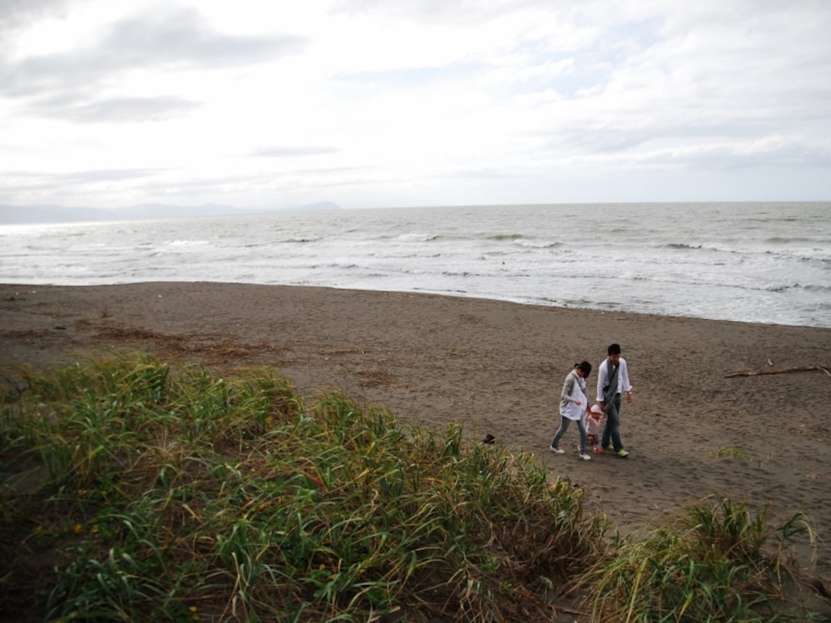 海辺のワイナリーの実現を目指す