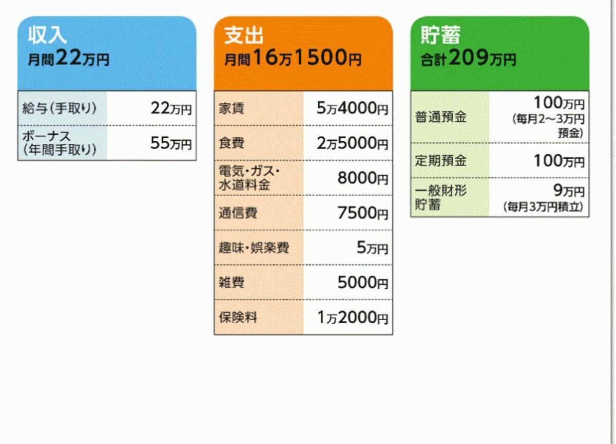 一匹うさぎさんの家計収支データ