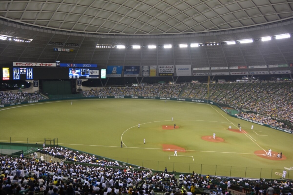 ダグアウトテラスから見るグランド