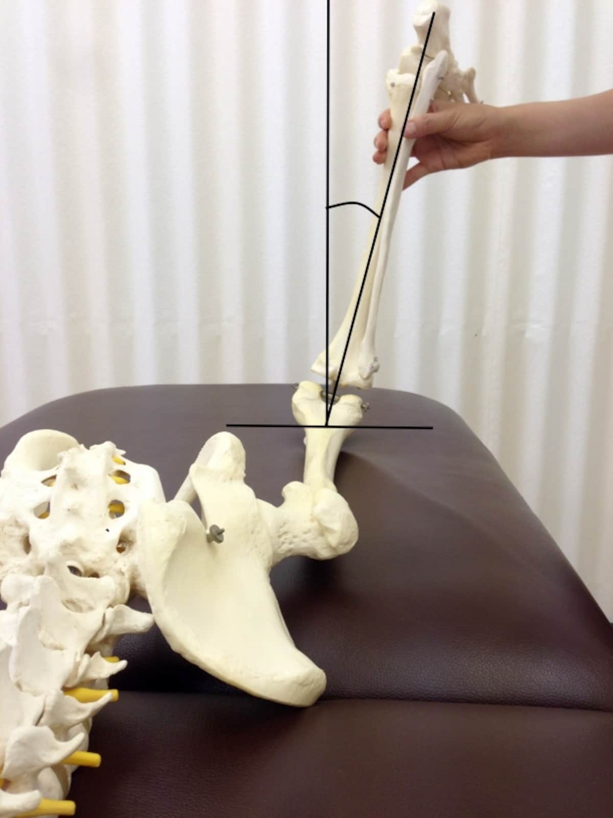 前捻角の投影
