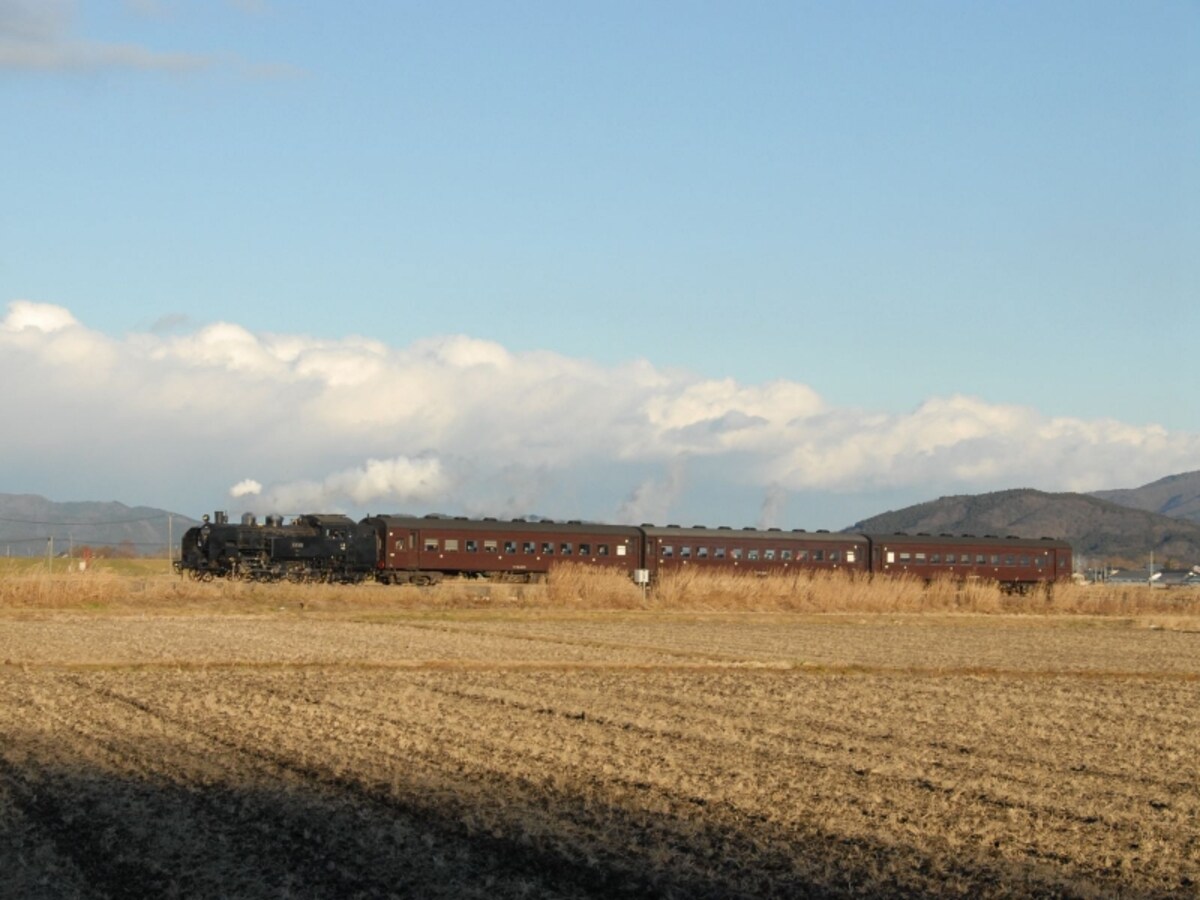 C11