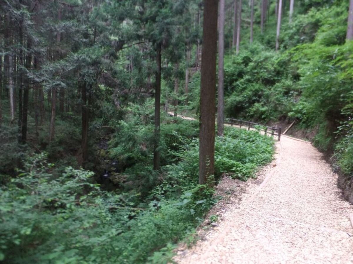払沢の滝への遊歩道