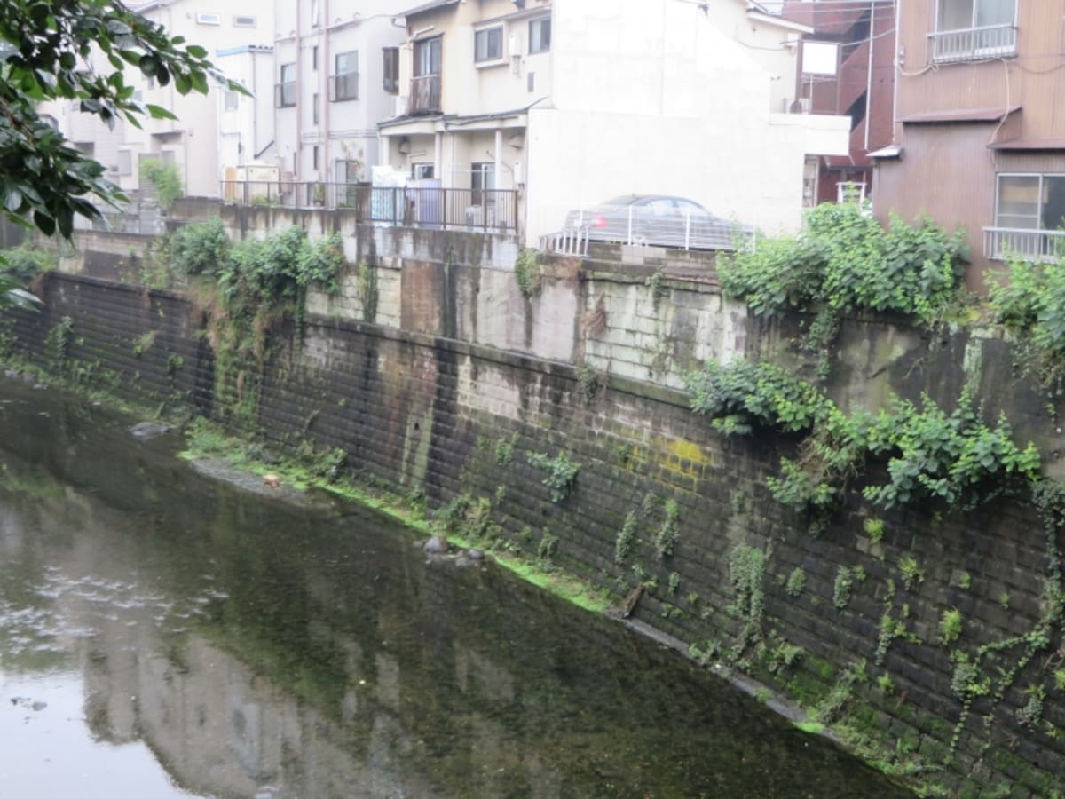 渋谷川