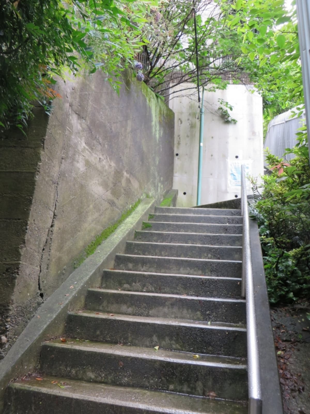 背面の擁壁