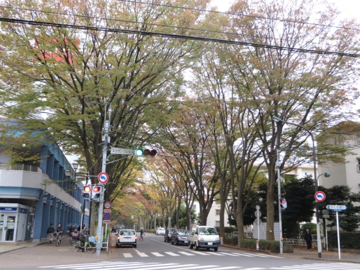 駅からの道
