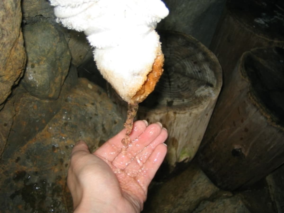清流荘　湯口