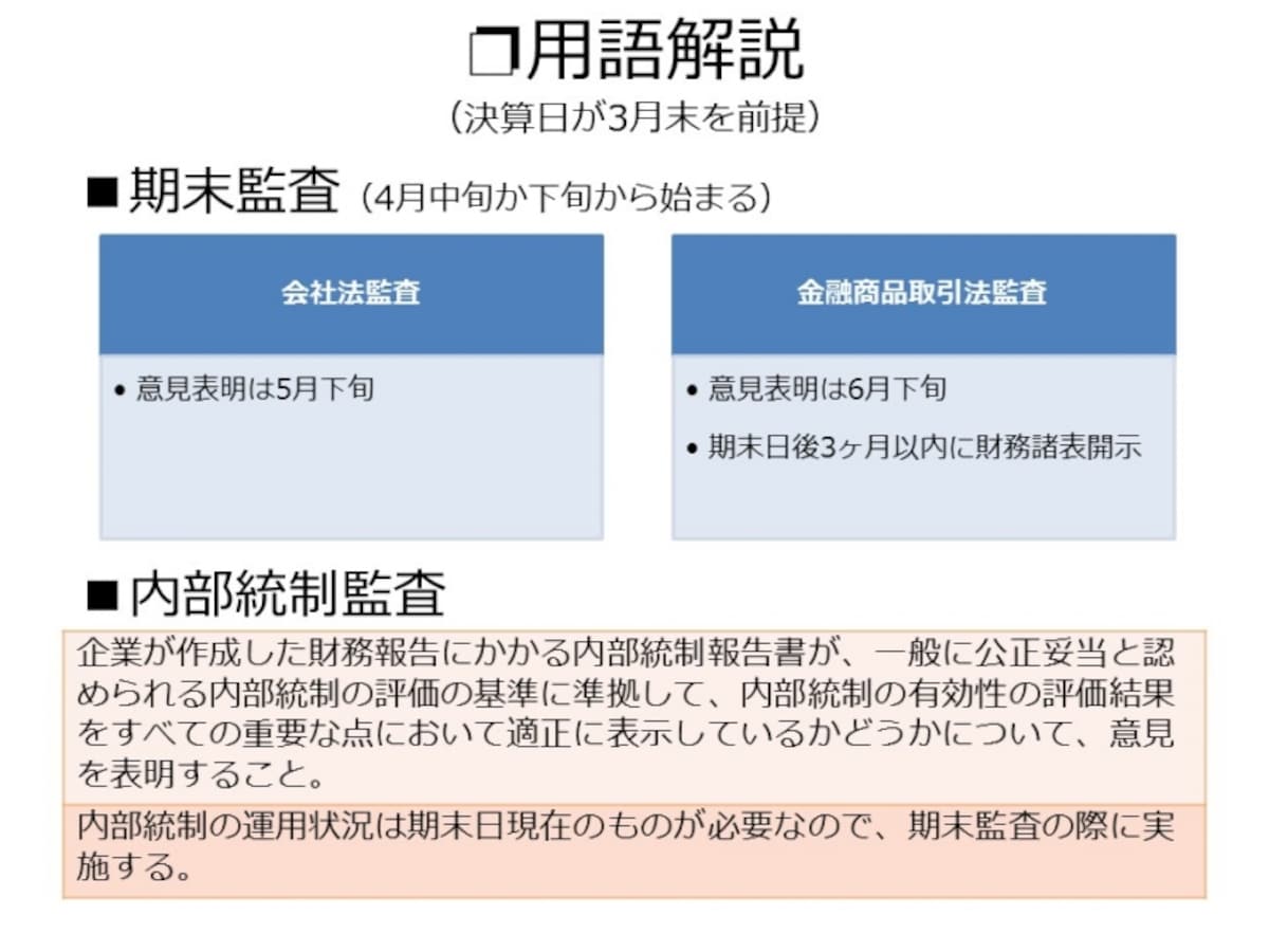 【図表1　監査・レビューの大まかな流れ】