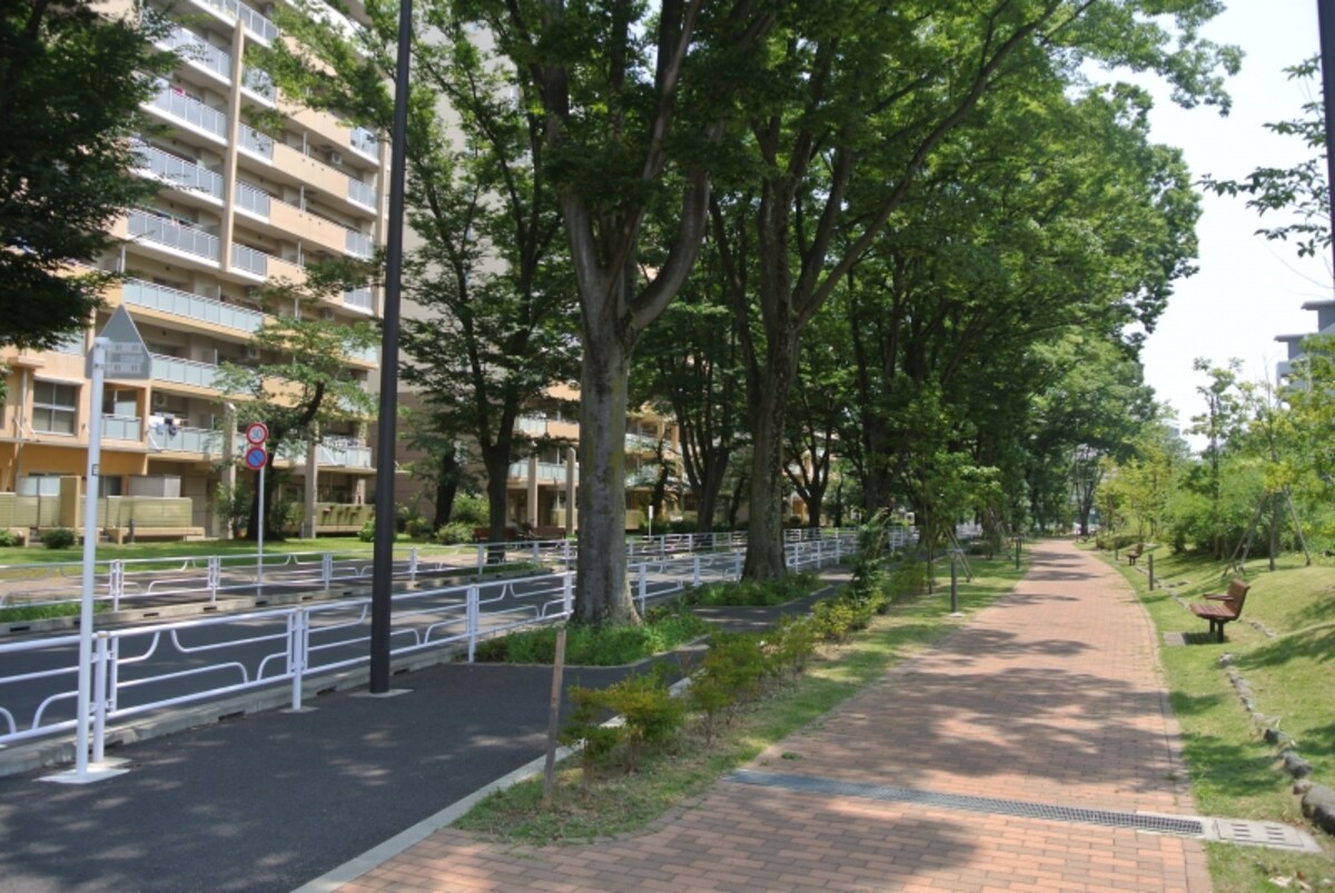 「ひばりが丘団地」内の街並み