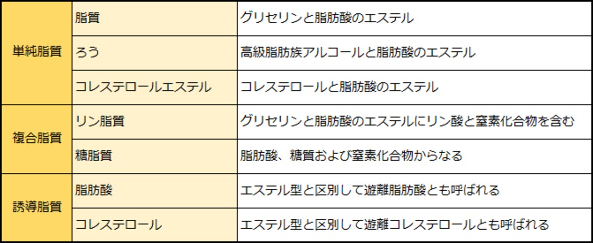 「脂肪の種類」表