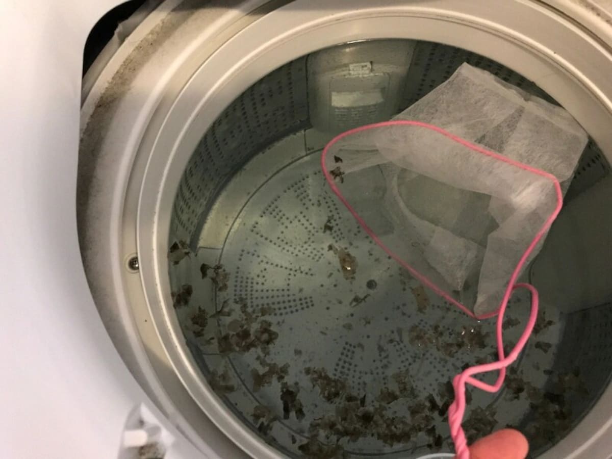 洗濯槽はカビが生えやすいため定期的なお掃除を
