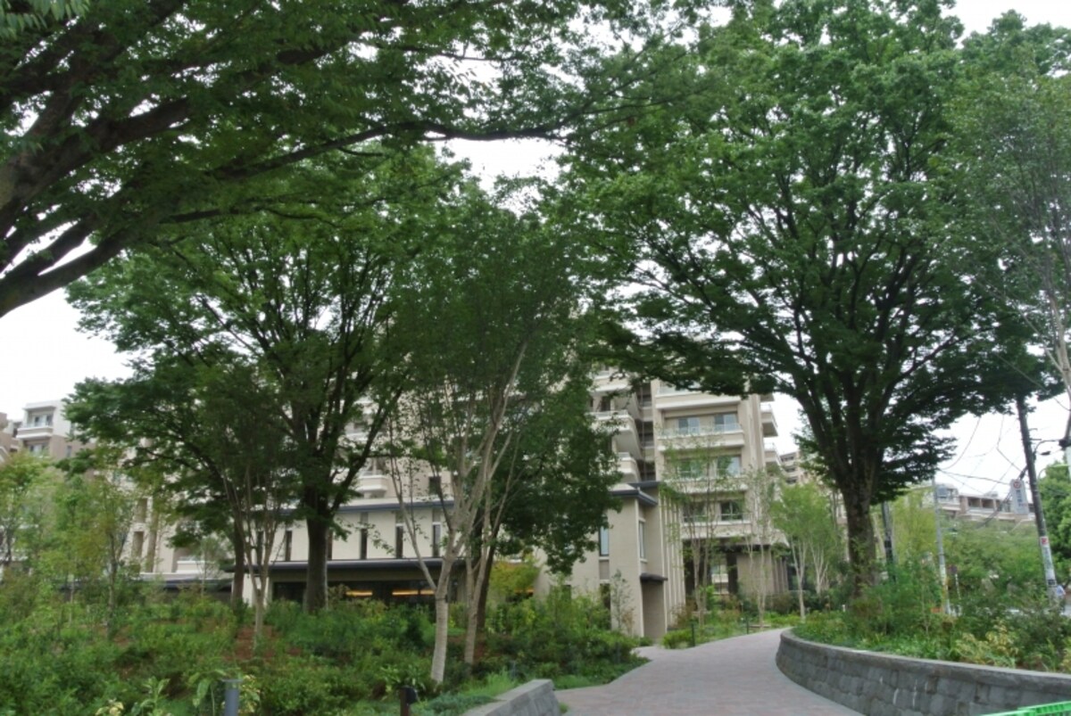 完成した桜上水ガーデンズ