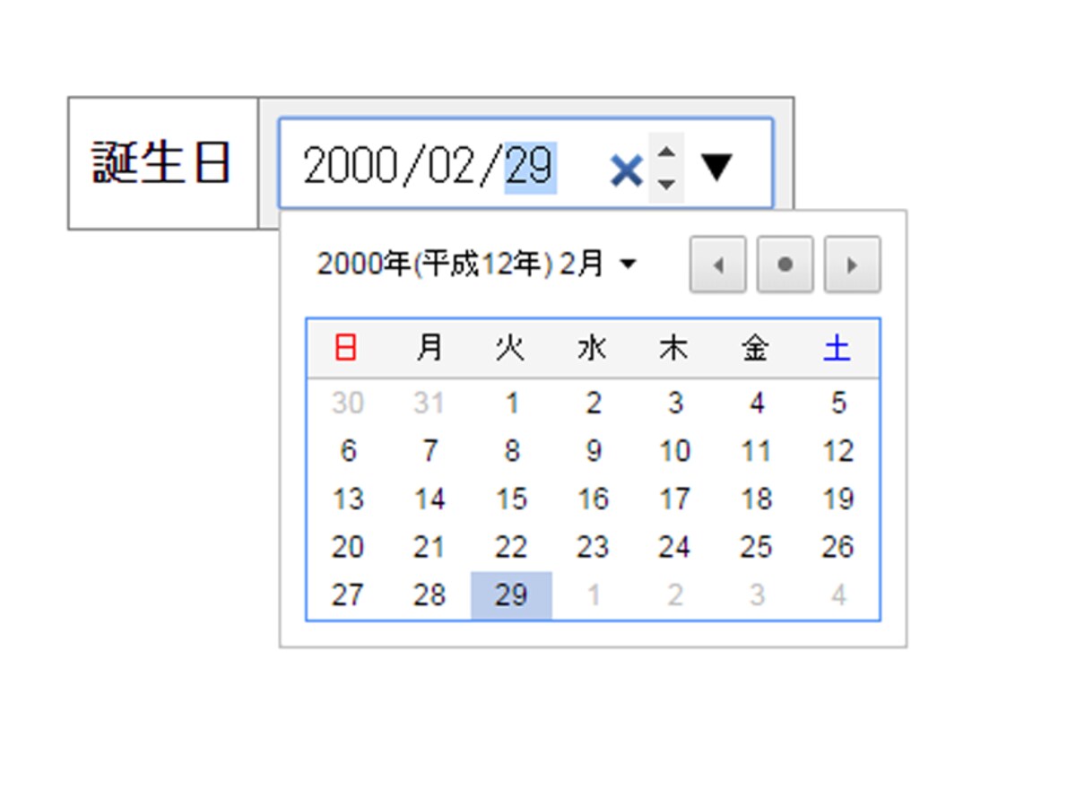 HTML5 仕様の日付入力欄