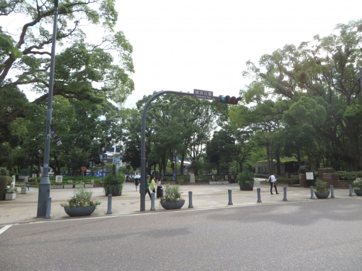 緑の多い横浜公園