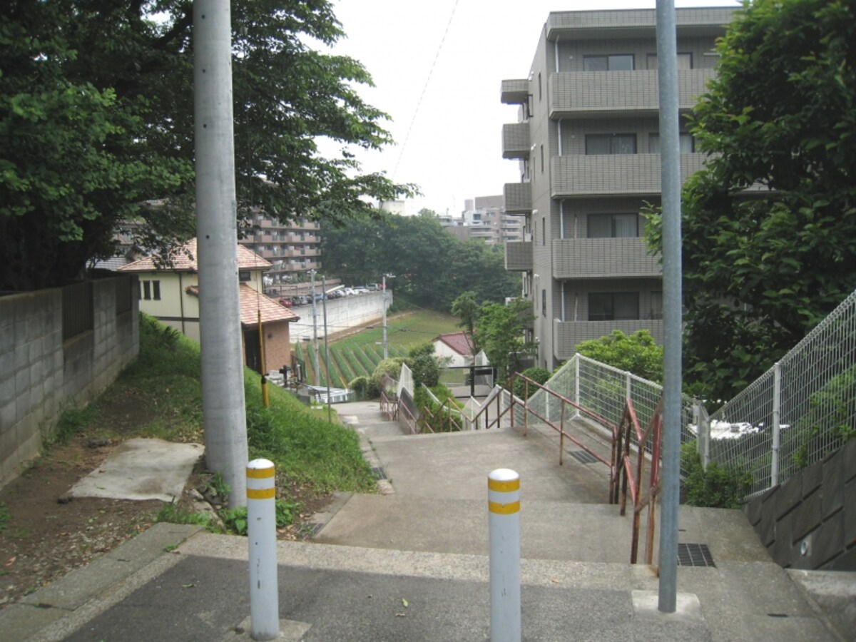 傾斜地