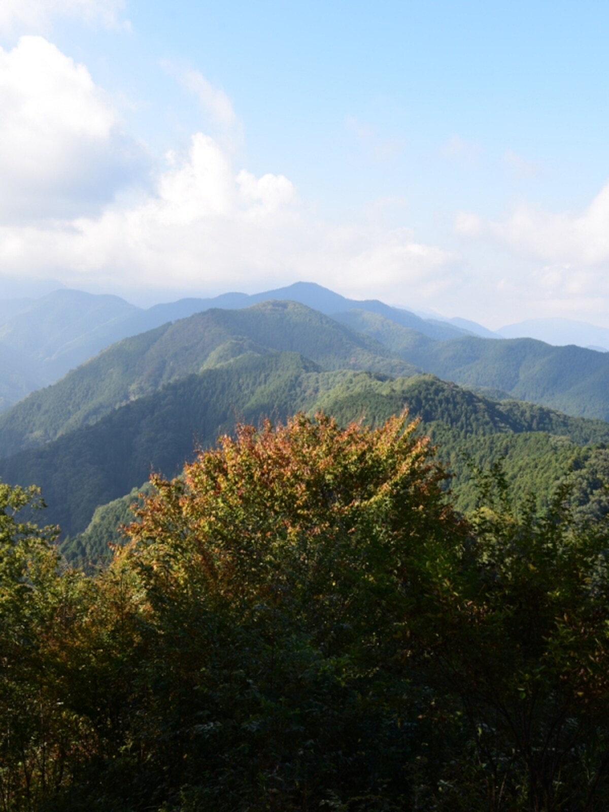 秩父の峰々