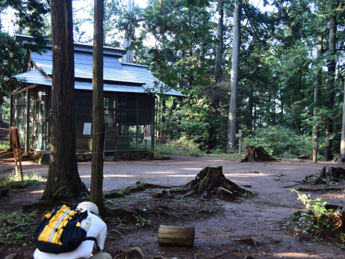 惣岳山山頂
