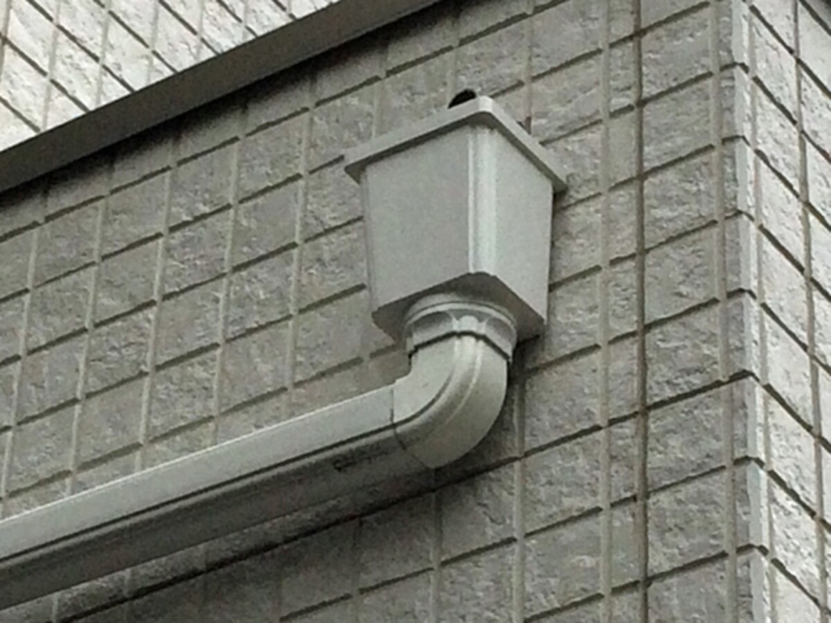 雨どい