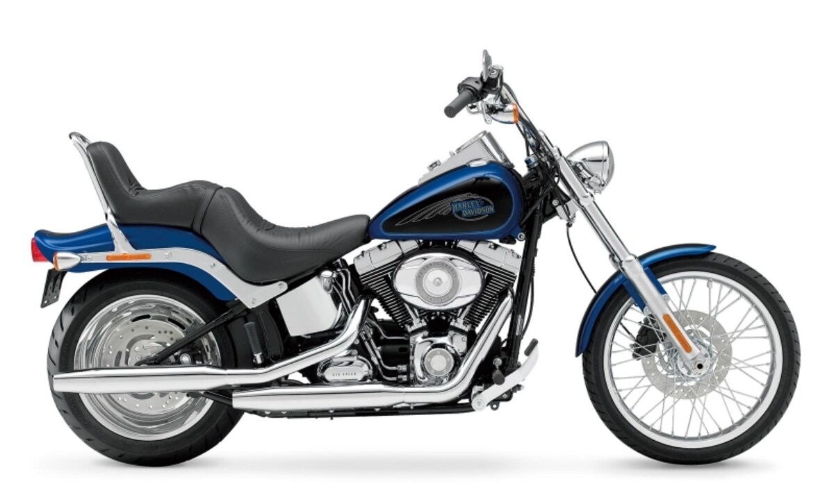 ツインカム96Bエンジン搭載のハーレーダビッドソン FXSTCソフテイルカスタム（2009年式）