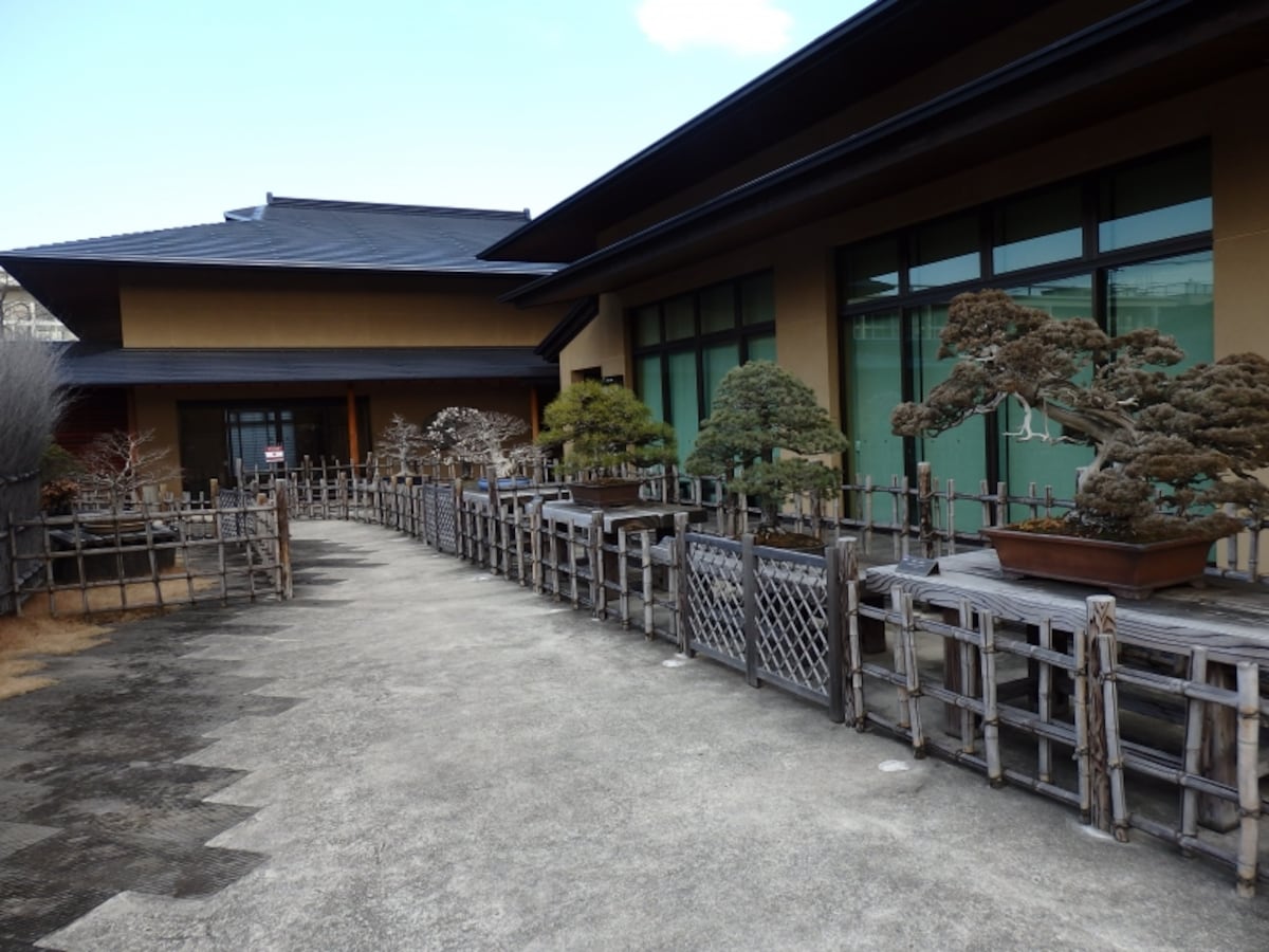 大宮盆栽美術館に展示される名品、優品