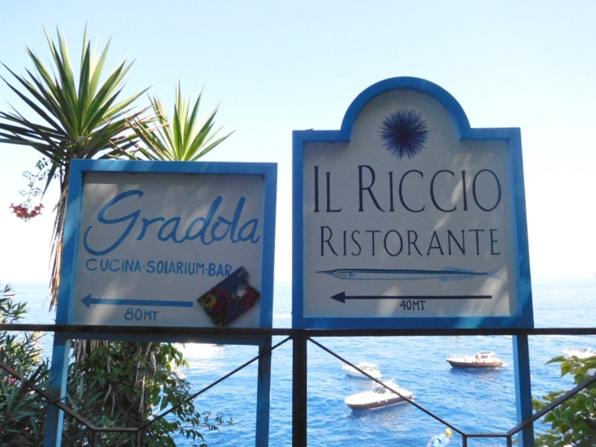 Il Riccio