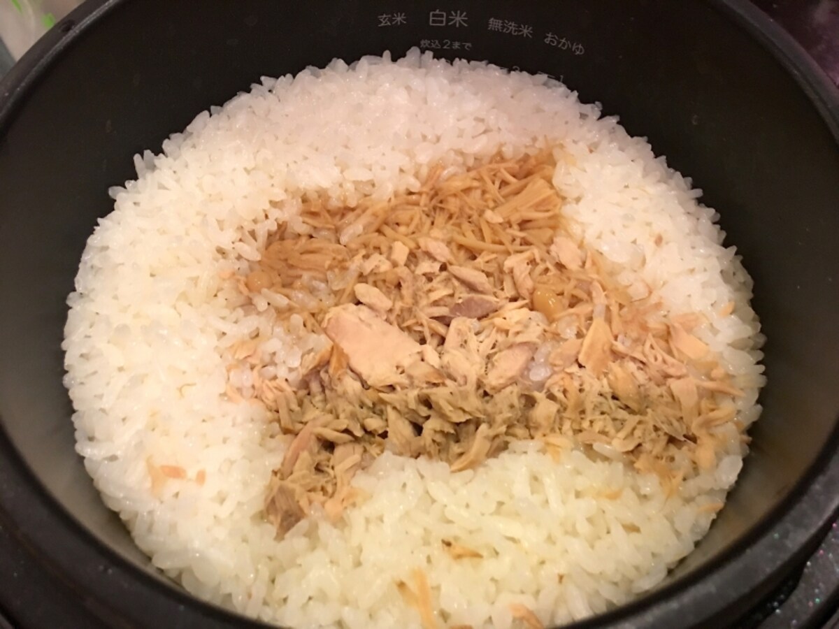 BALMUDA The Gohan