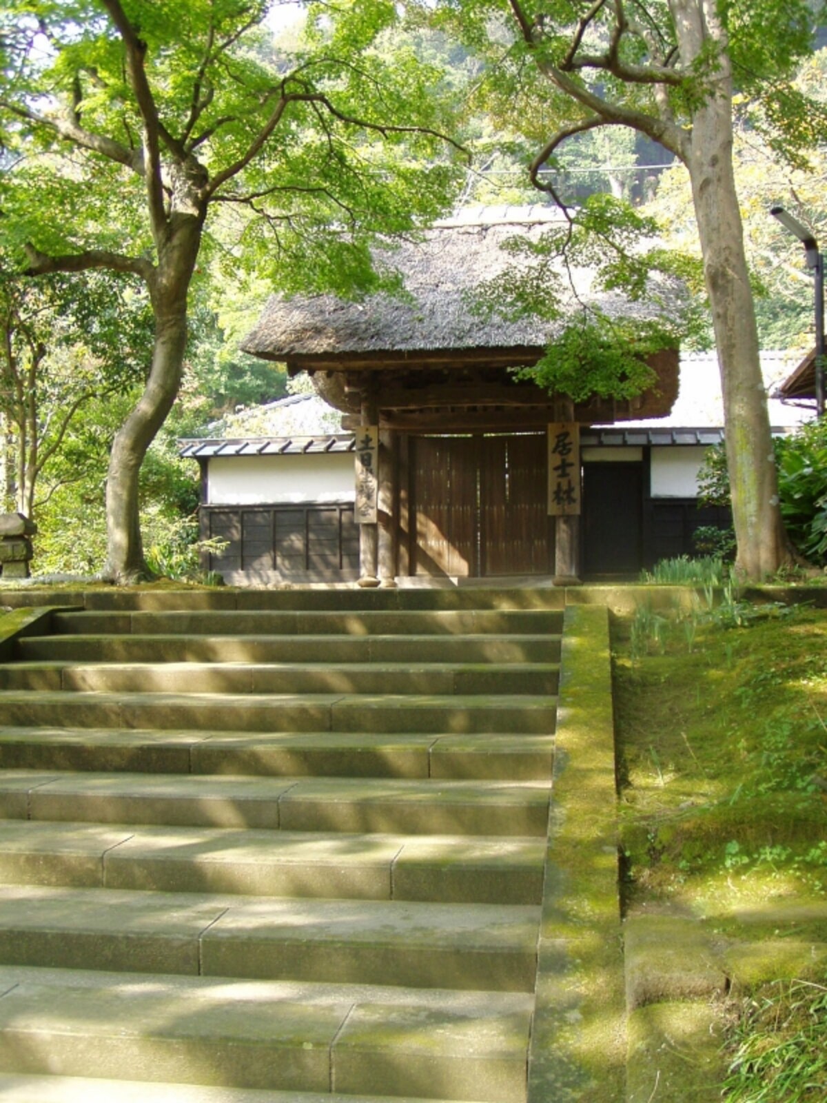 居士林の門
