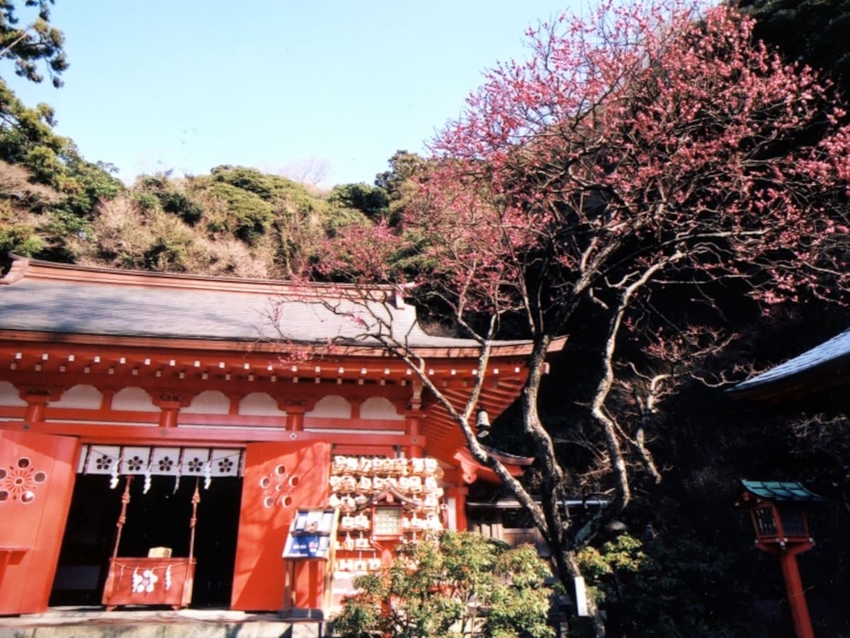荏柄天神社の社殿