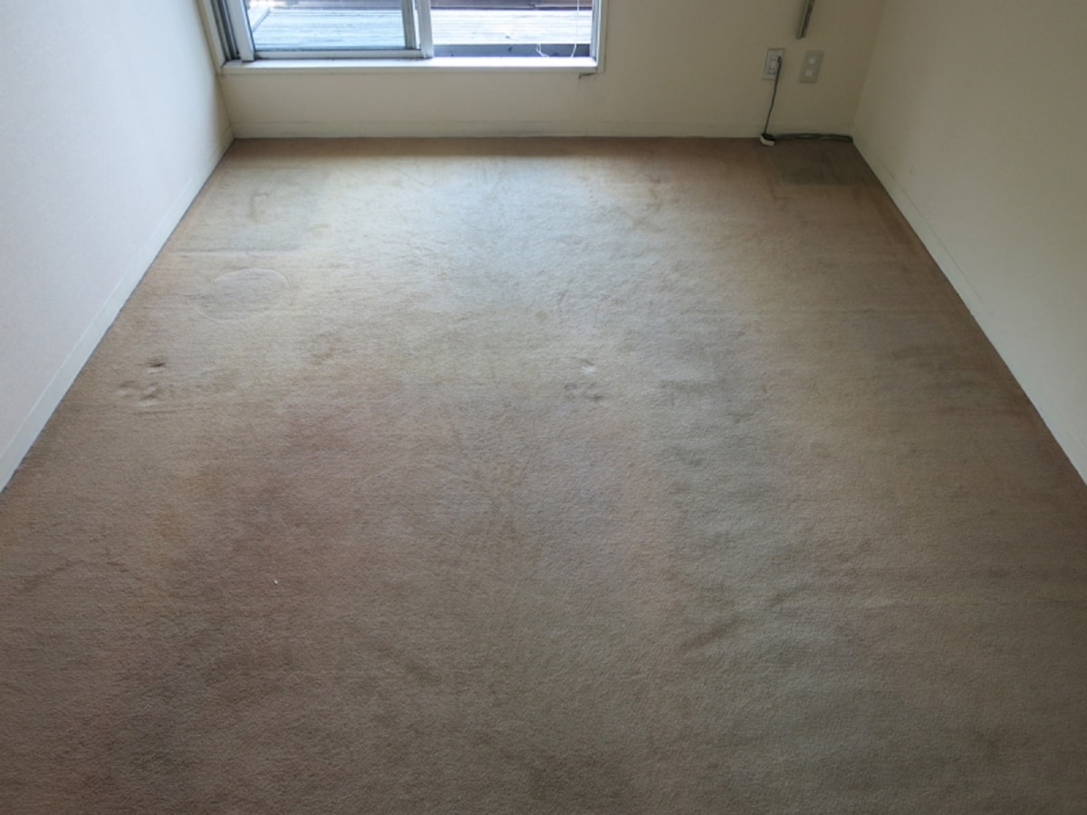 現状のカーペット部屋の画像3