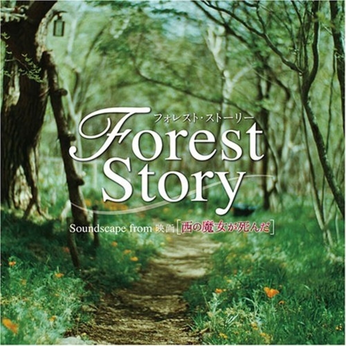 forest