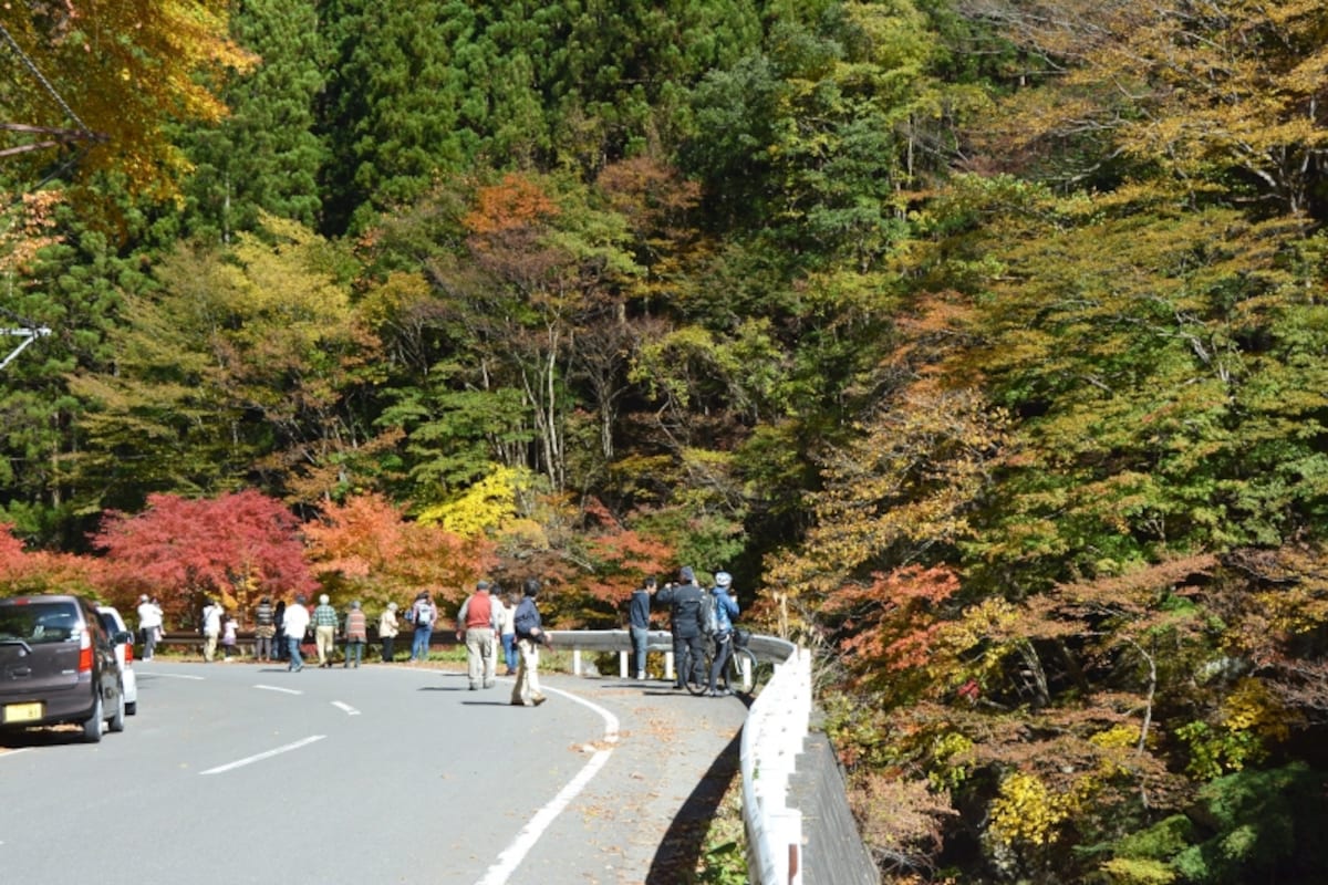 相原橋から中双里に向かう県道210号線沿線