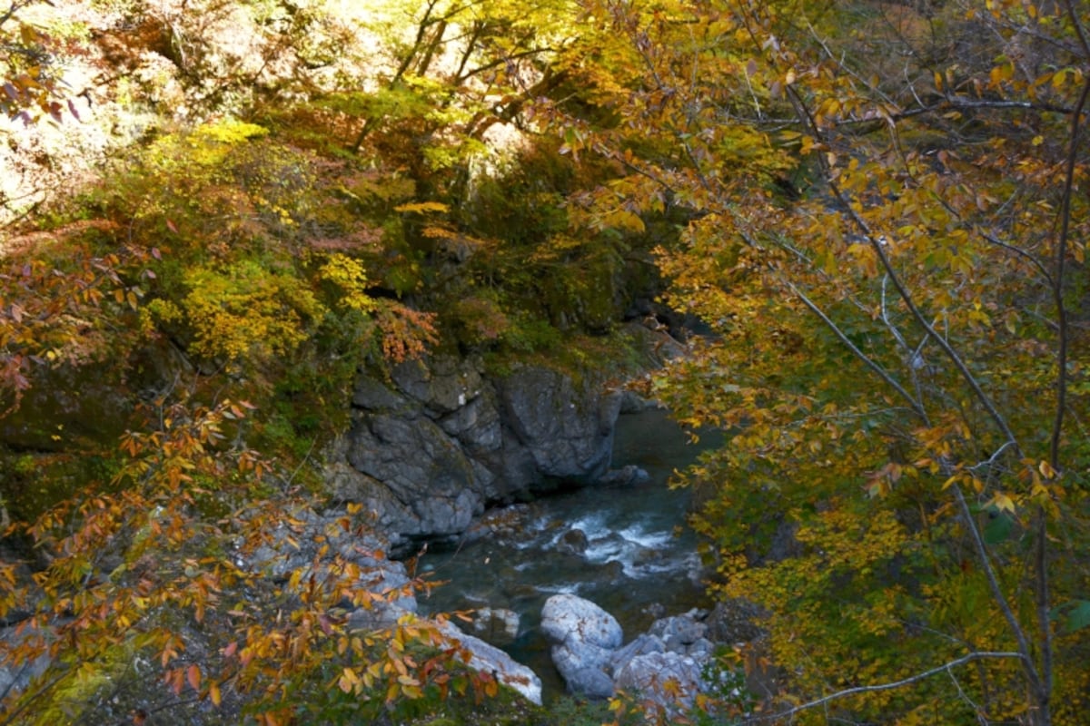 市子岩の奇縁の紅葉