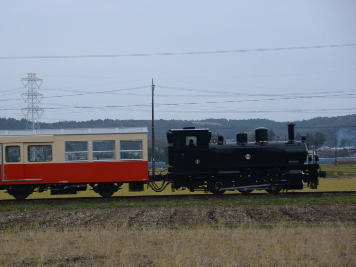 トロッコ列車