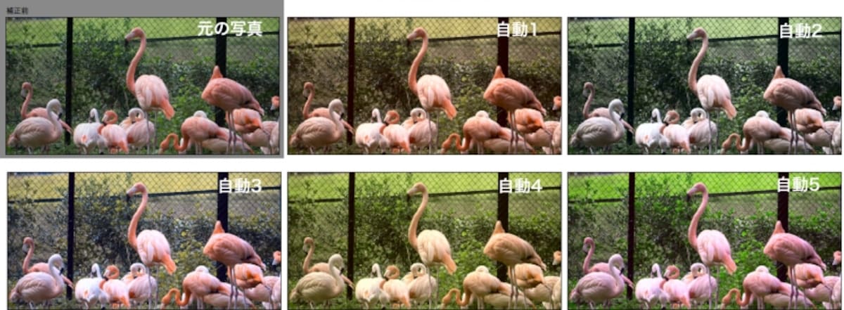左上から順に元の写真、自動1、自動2、自動3、自動4、自動5。いずれかの気に入ったイメージを選ぶだけで自動的に調整をしてくれます。