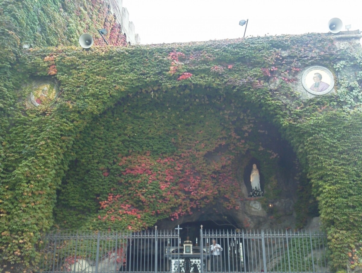 解説画像
