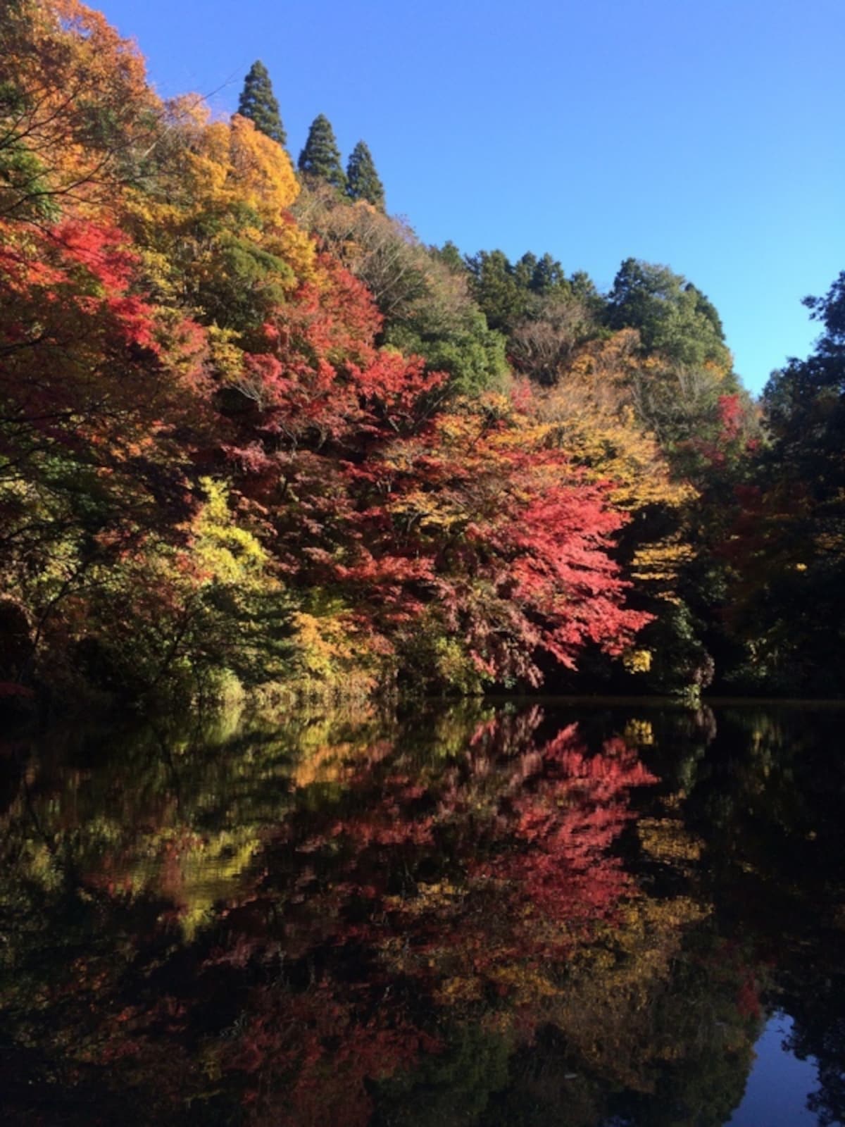 亀山湖