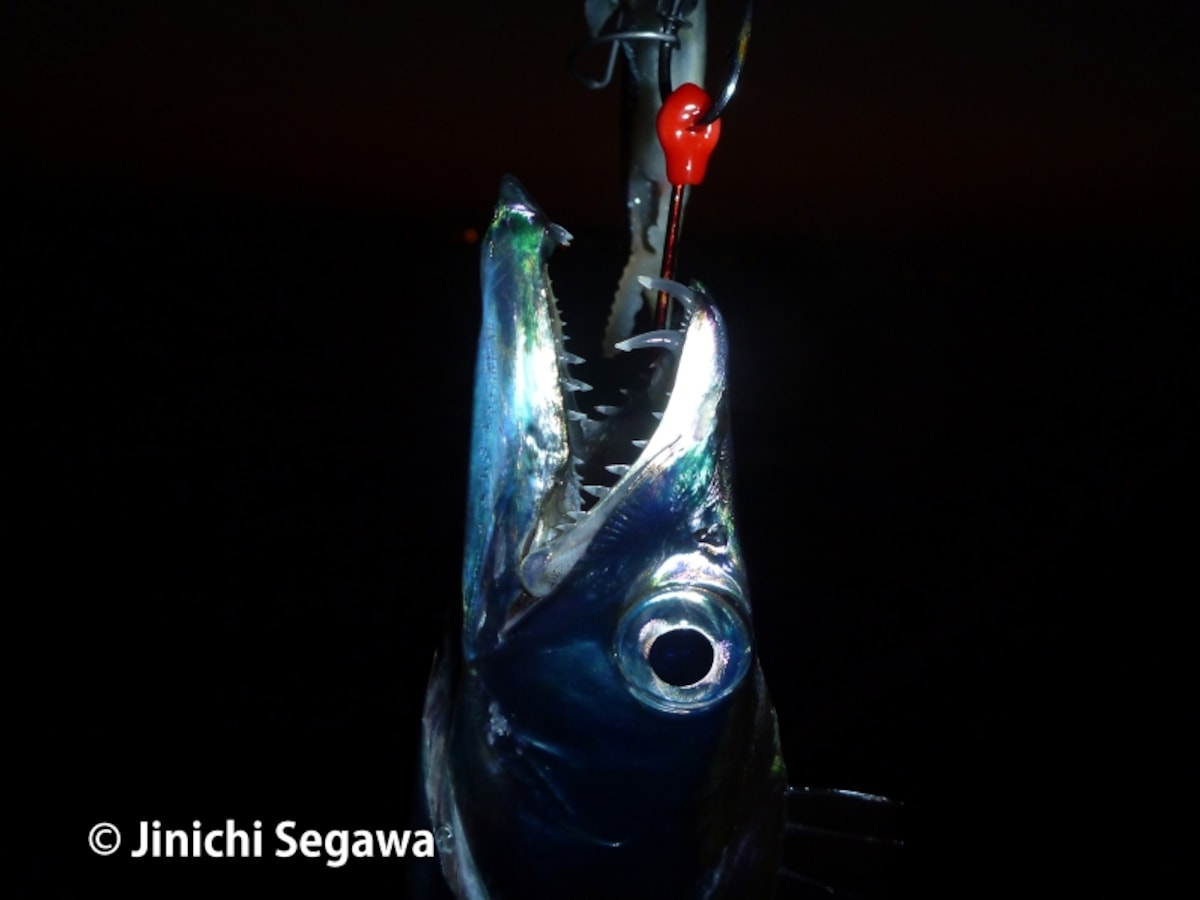 フラッシュ撮影