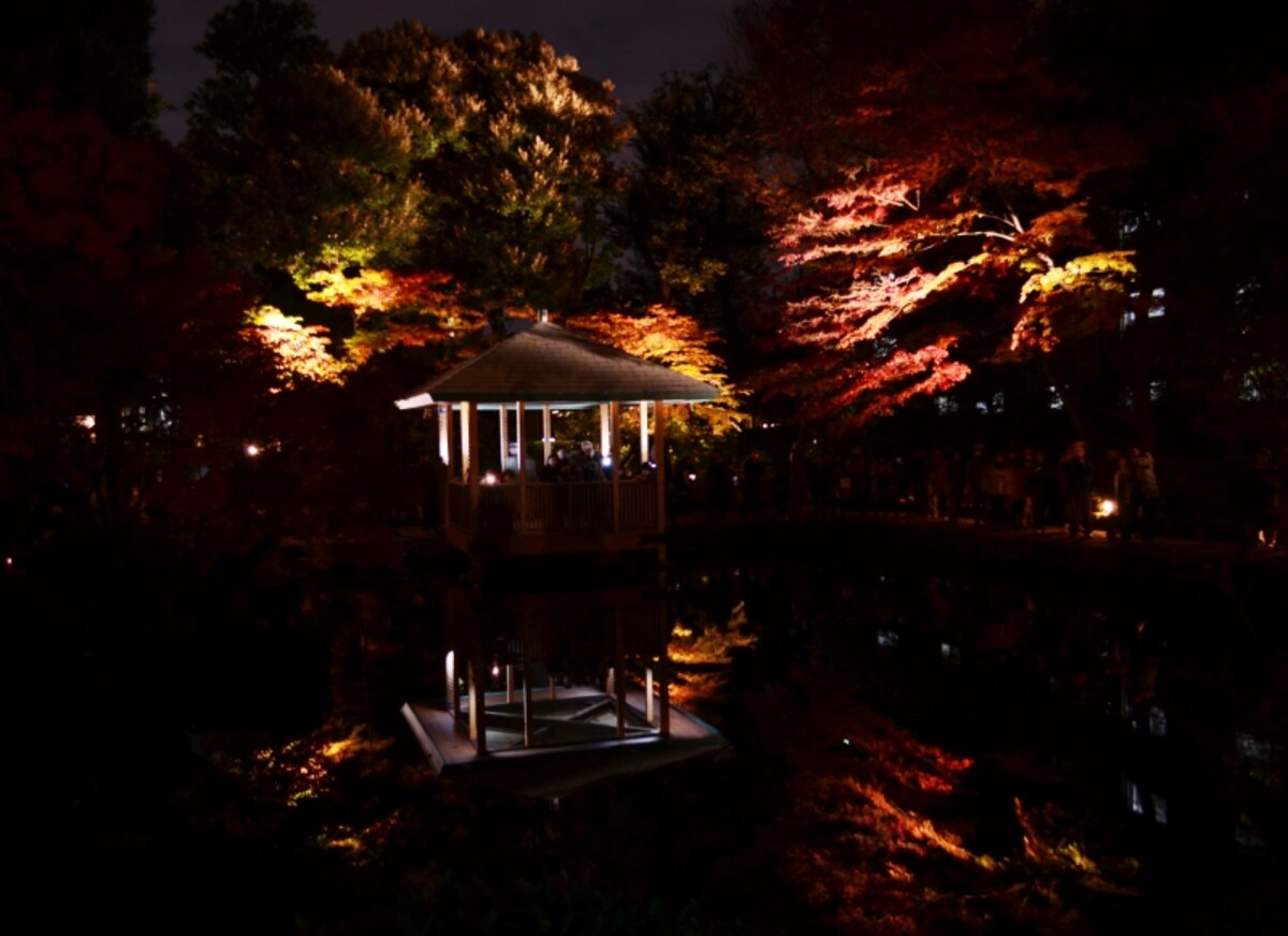 大田黒公園の紅葉ライトアップ