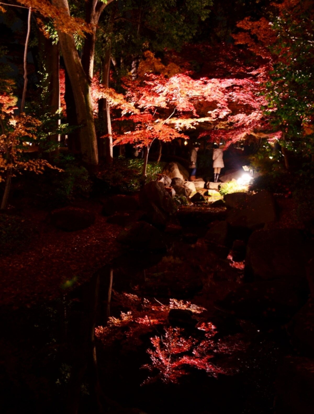 風情ある日本庭園の紅葉