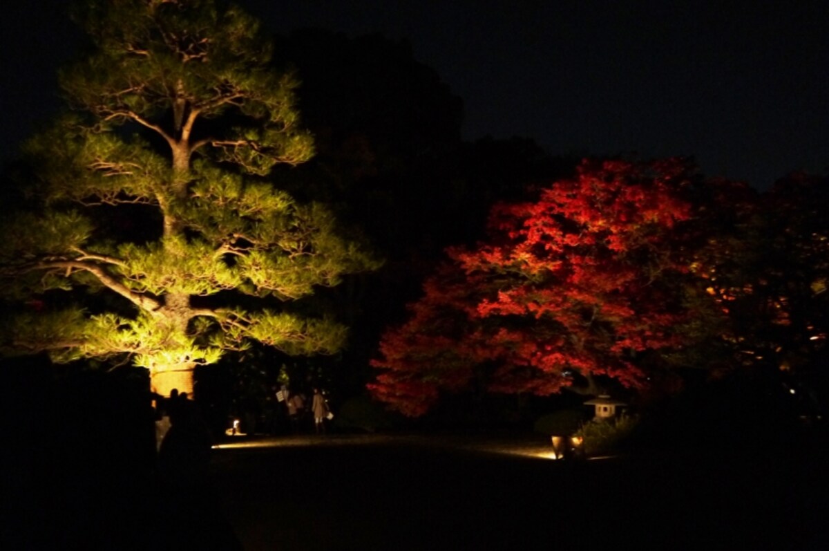 六義園　紅葉と大名庭園のライトアップ