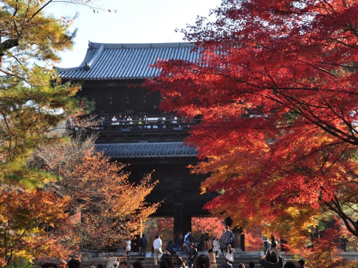 南禅寺の大きな山門と紅葉