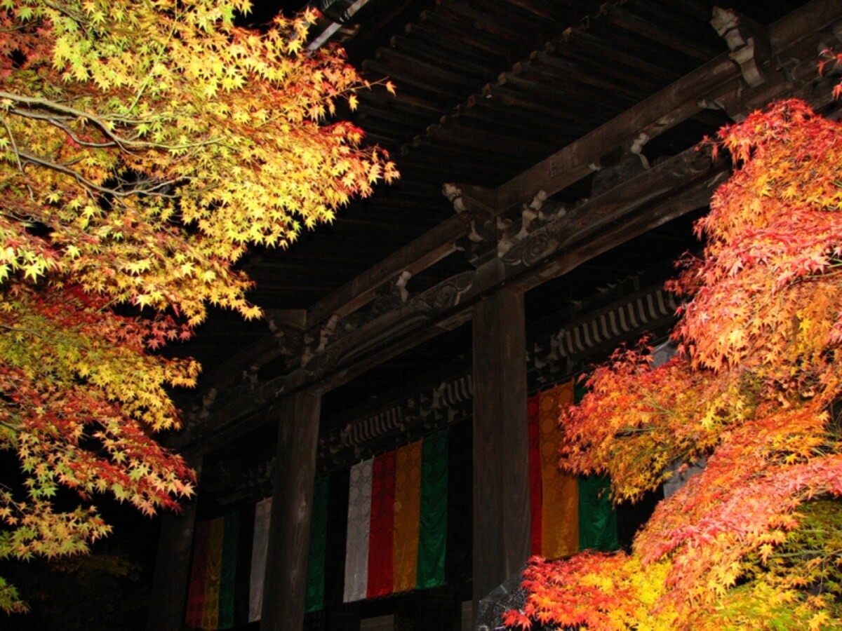 永観堂　紅葉ライトアップ