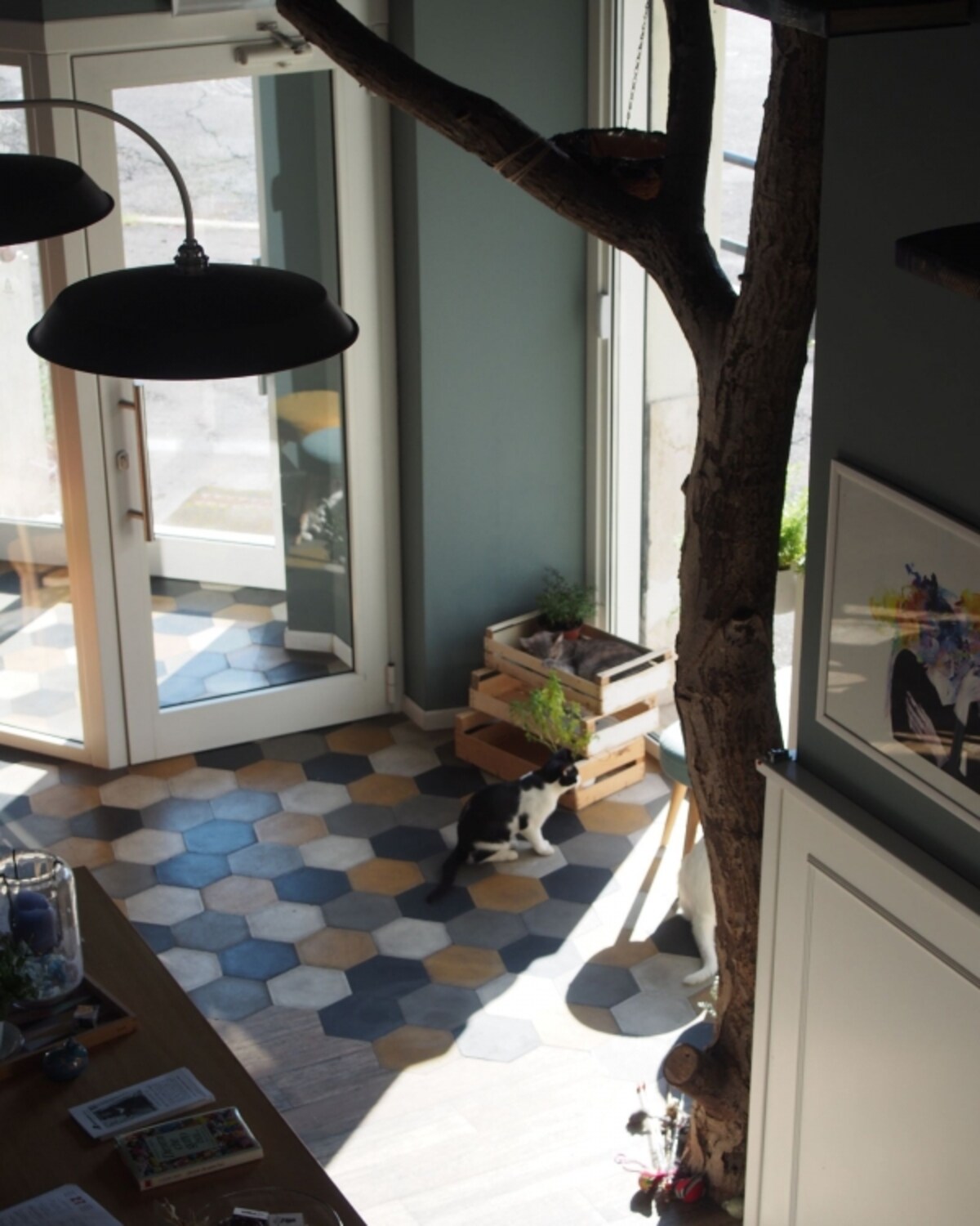 roma_catbistrot4