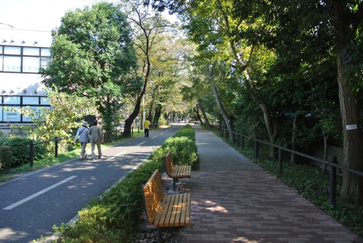 多摩湖自転車道