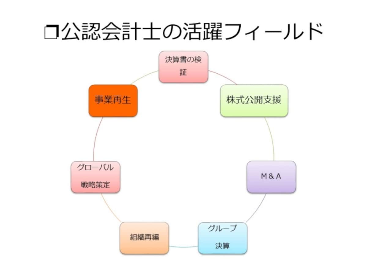 【図1 公認会計士の活躍フィールド】