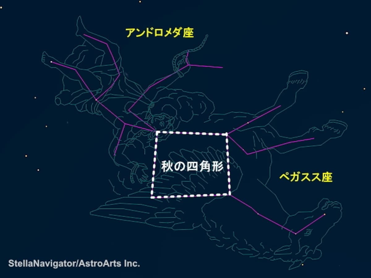 秋の四角形