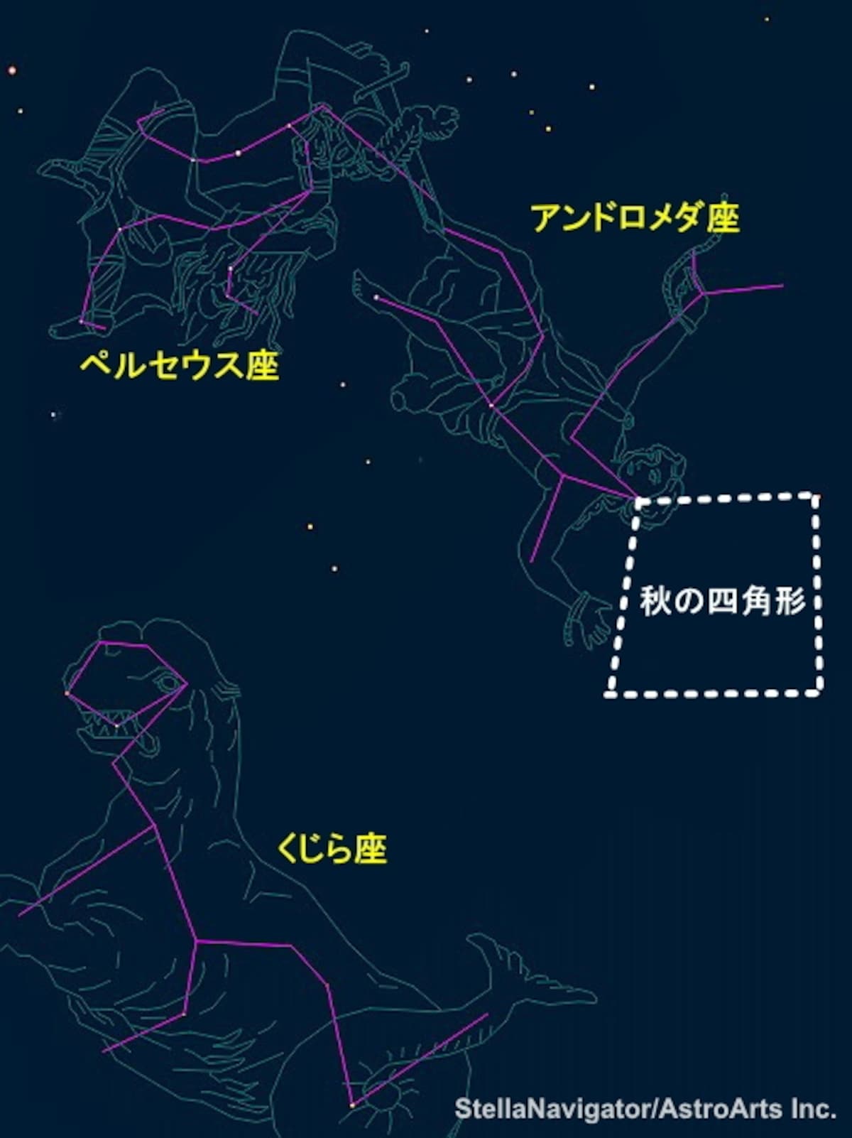 ペルセウスとお化けクジラ
